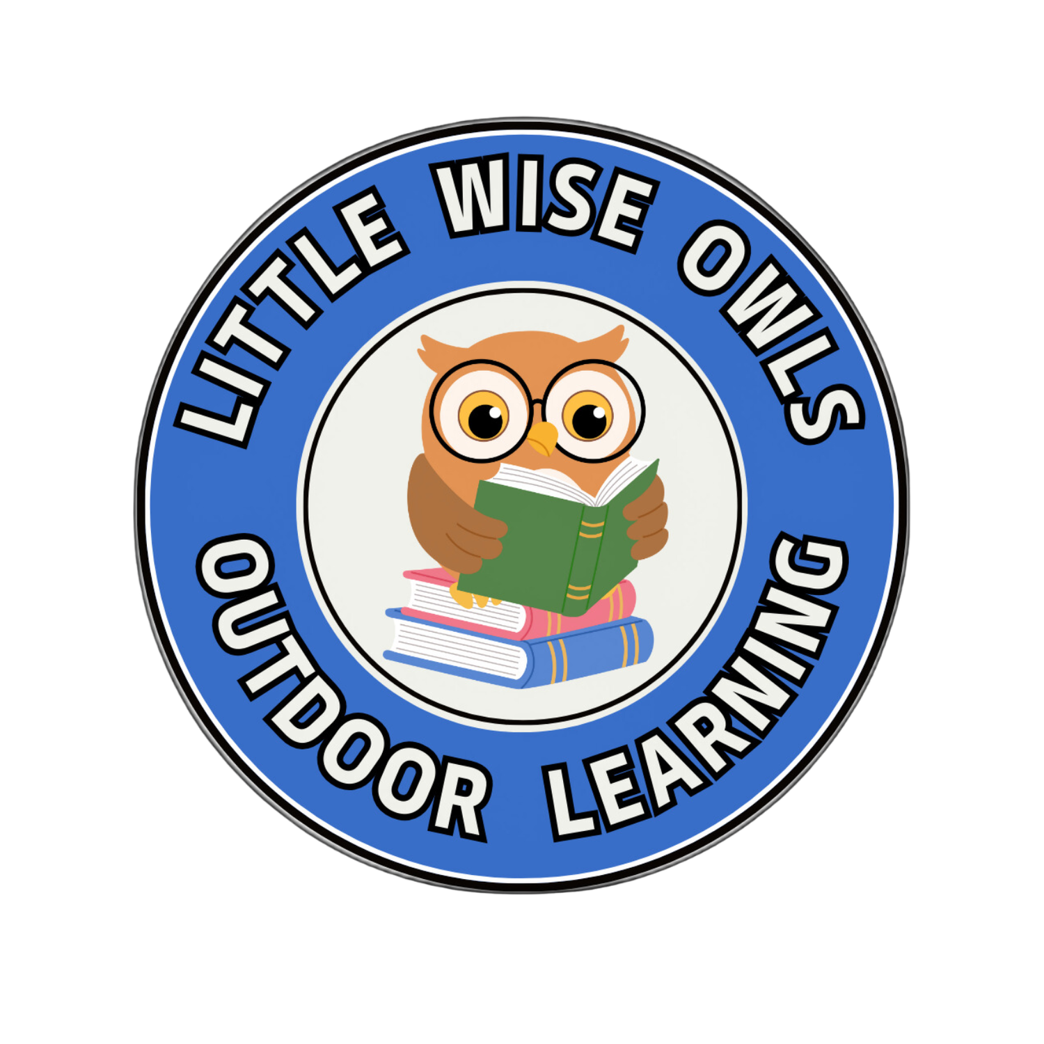 Little Wise Owls Logo